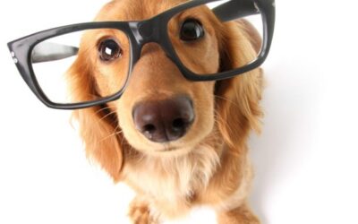 What Should You Write Down Before Talking to a Patent Attorney?